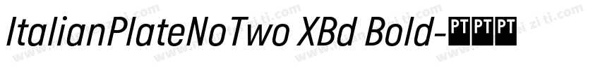 ItalianPlateNoTwo XBd Bold字体转换